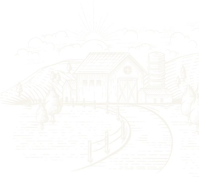 one day picnic with family